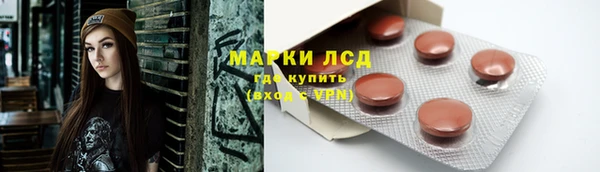apvp Верея