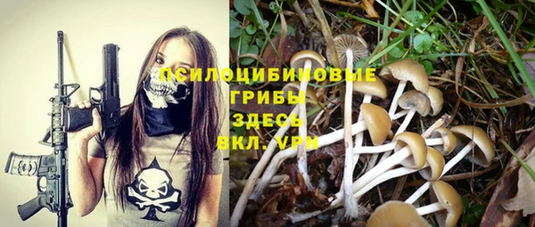 винт Верхний Тагил
