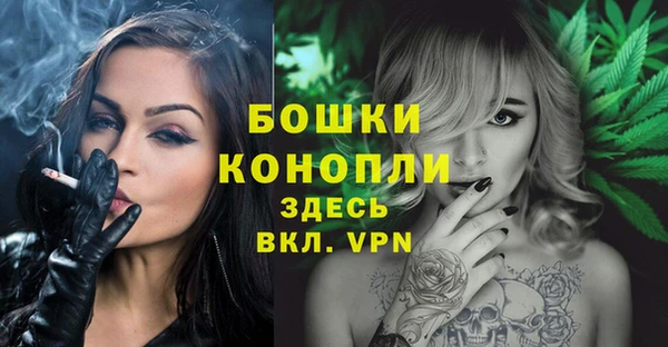 apvp Верея